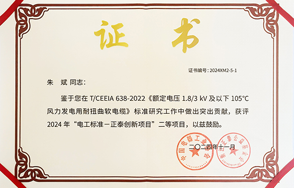 助力行业盛会  团标再添新荣——恒峰g22电缆整体标准获2024年正泰立异项目二等奖-恒峰g22——恒峰g22电缆 恒峰g22品质
